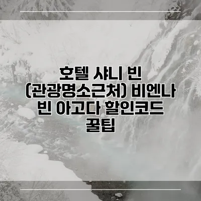 호텔 샤니 빈 (관광명소근처) 비엔나 빈 아고다 할인코드 꿀팁