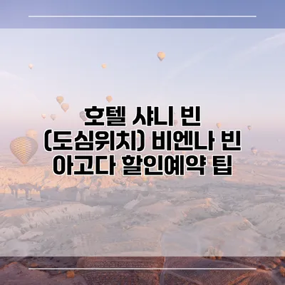 호텔 샤니 빈 (도심위치) 비엔나 빈 아고다 할인예약 팁