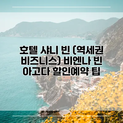 호텔 샤니 빈 (역세권 비즈니스) 비엔나 빈 아고다 할인예약 팁