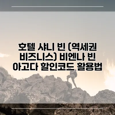 호텔 샤니 빈 (역세권 비즈니스) 비엔나 빈 아고다 할인코드 활용법
