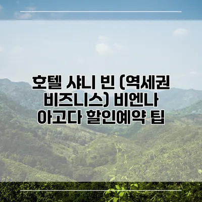호텔 샤니 빈 (역세권 비즈니스) 비엔나 아고다 할인예약 팁
