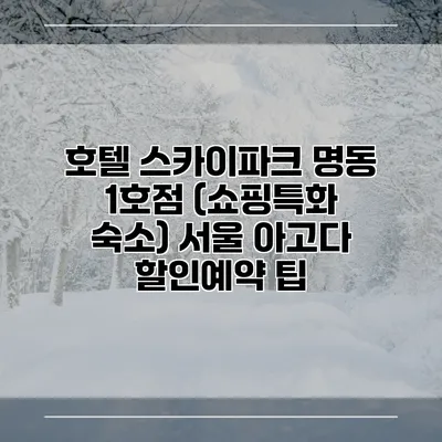 호텔 스카이파크 명동 1호점 (쇼핑특화 숙소) 서울 아고다 할인예약 팁