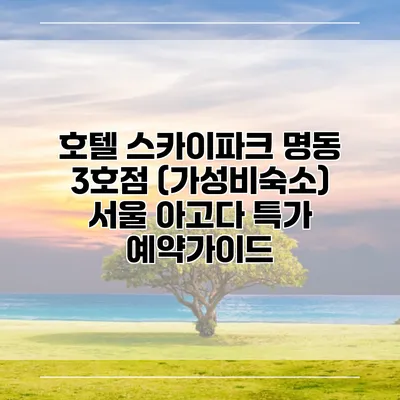 호텔 스카이파크 명동 3호점 (가성비숙소) 서울 아고다 특가 예약가이드