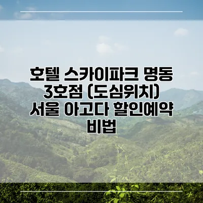 호텔 스카이파크 명동 3호점 (도심위치) 서울 아고다 할인예약 비법