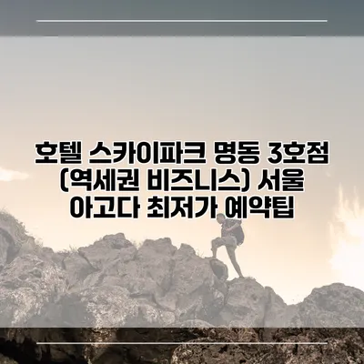 호텔 스카이파크 명동 3호점 (역세권 비즈니스) 서울 아고다 최저가 예약팁
