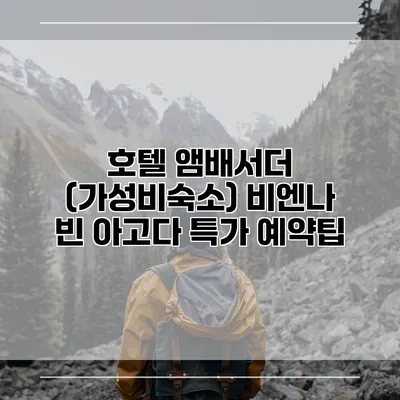 호텔 앰배서더 (가성비숙소) 비엔나 빈 아고다 특가 예약팁