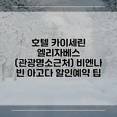 호텔 카이세린 엘리자베스 (관광명소근처) 비엔나 빈 아고다 할인예약 팁