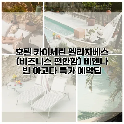 호텔 카이세린 엘리자베스 (비즈니스 편안함) 비엔나 빈 아고다 특가 예약팁