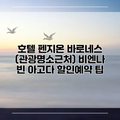 호텔 펜지온 바로네스 (관광명소근처) 비엔나 빈 아고다 할인예약 팁