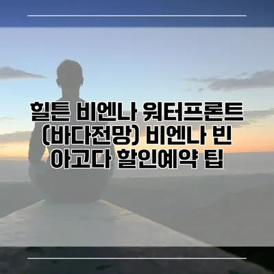 힐튼 비엔나 워터프론트 (바다전망) 비엔나 빈 아고다 할인예약 팁